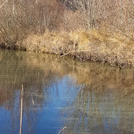 Krapflhof アパート Weisspriach