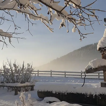 Krapflhof アパート *